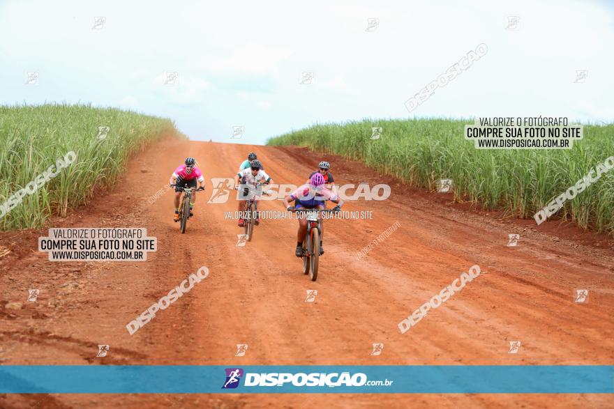 1ª EDIÇÃO DESAFIO ABELHA GRANDE - XCM