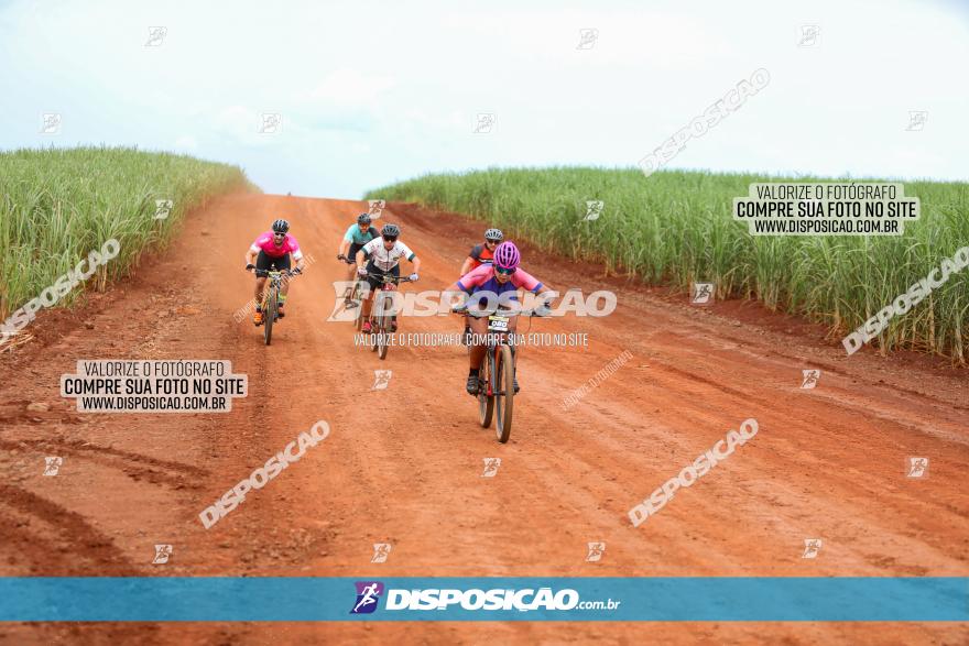 1ª EDIÇÃO DESAFIO ABELHA GRANDE - XCM