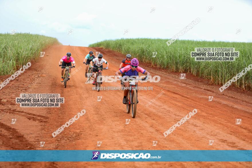 1ª EDIÇÃO DESAFIO ABELHA GRANDE - XCM