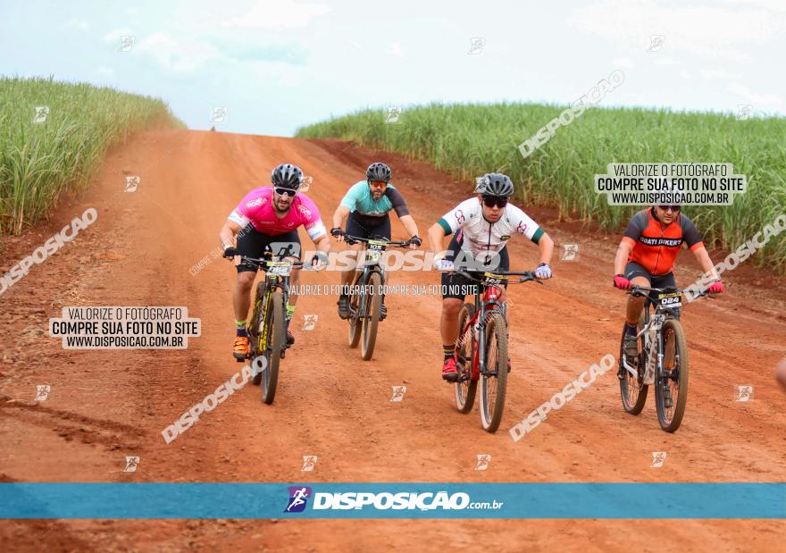 1ª EDIÇÃO DESAFIO ABELHA GRANDE - XCM