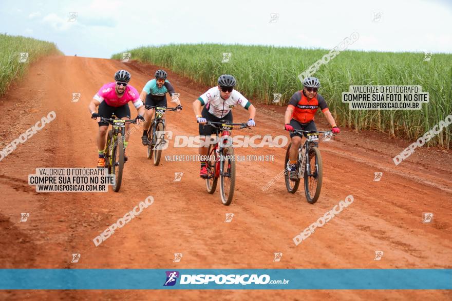 1ª EDIÇÃO DESAFIO ABELHA GRANDE - XCM