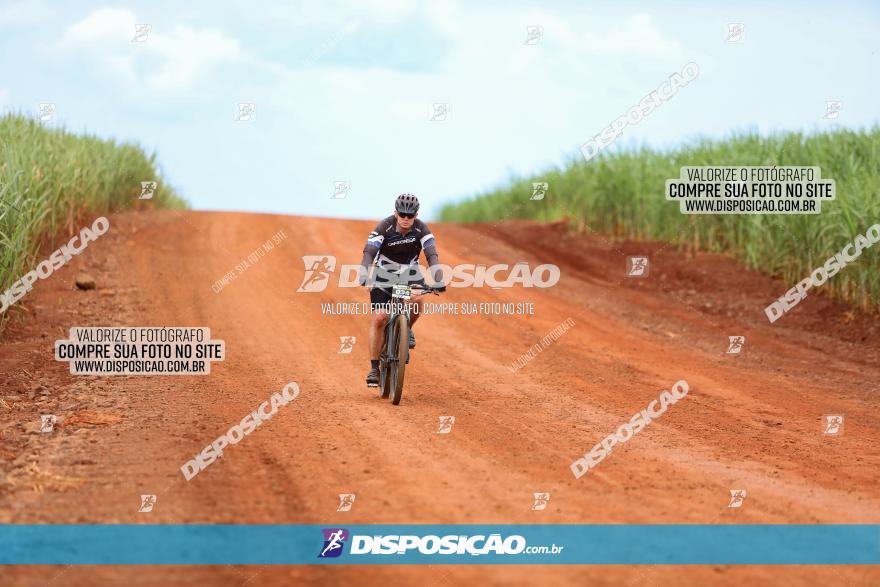 1ª EDIÇÃO DESAFIO ABELHA GRANDE - XCM