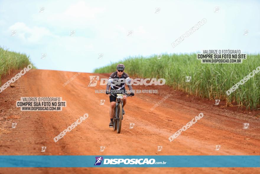 1ª EDIÇÃO DESAFIO ABELHA GRANDE - XCM