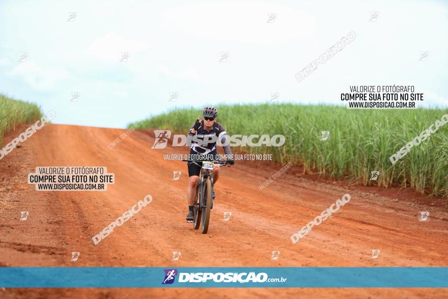 1ª EDIÇÃO DESAFIO ABELHA GRANDE - XCM