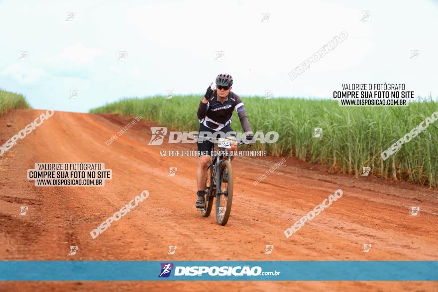 1ª EDIÇÃO DESAFIO ABELHA GRANDE - XCM