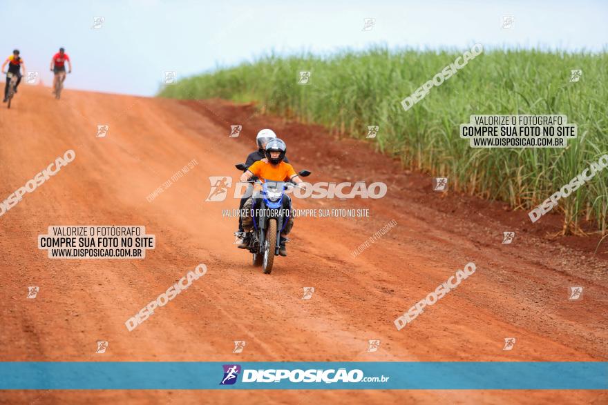 1ª EDIÇÃO DESAFIO ABELHA GRANDE - XCM