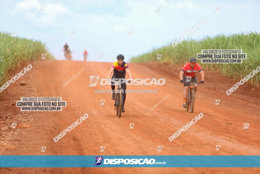 1ª EDIÇÃO DESAFIO ABELHA GRANDE - XCM