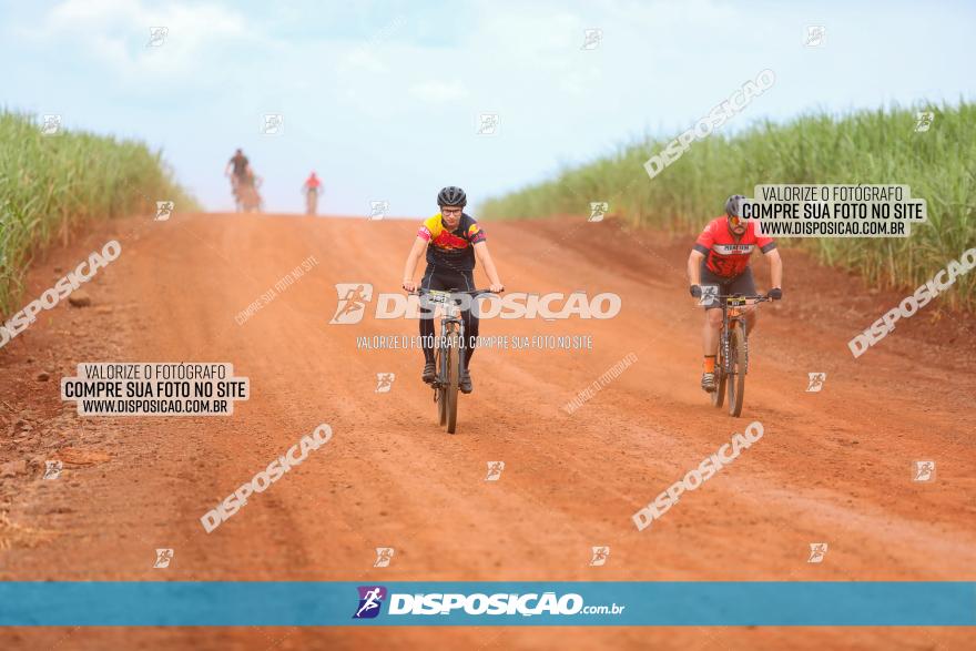 1ª EDIÇÃO DESAFIO ABELHA GRANDE - XCM