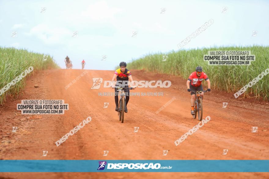 1ª EDIÇÃO DESAFIO ABELHA GRANDE - XCM