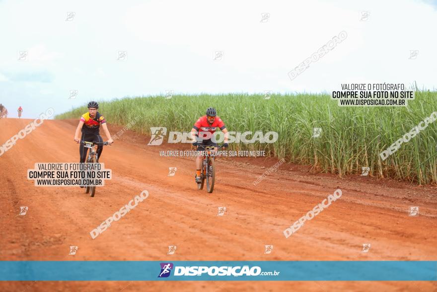 1ª EDIÇÃO DESAFIO ABELHA GRANDE - XCM