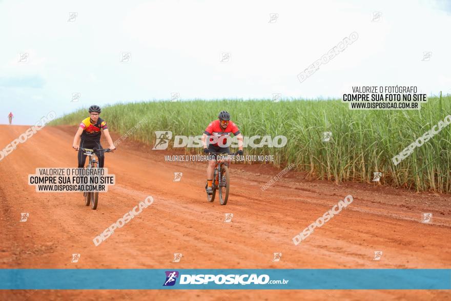 1ª EDIÇÃO DESAFIO ABELHA GRANDE - XCM