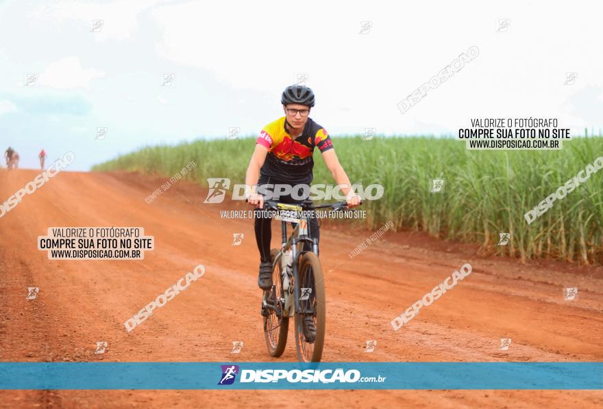 1ª EDIÇÃO DESAFIO ABELHA GRANDE - XCM