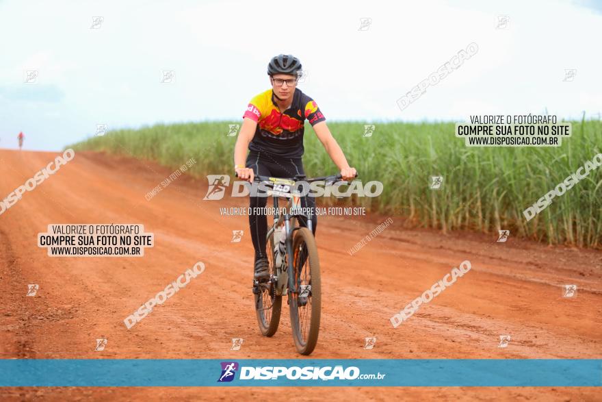 1ª EDIÇÃO DESAFIO ABELHA GRANDE - XCM