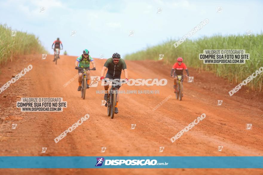 1ª EDIÇÃO DESAFIO ABELHA GRANDE - XCM