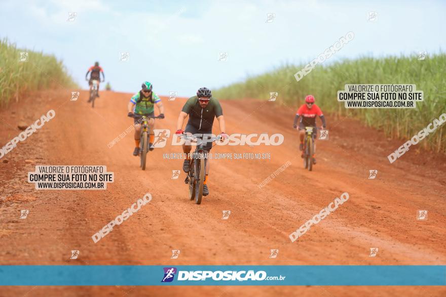 1ª EDIÇÃO DESAFIO ABELHA GRANDE - XCM