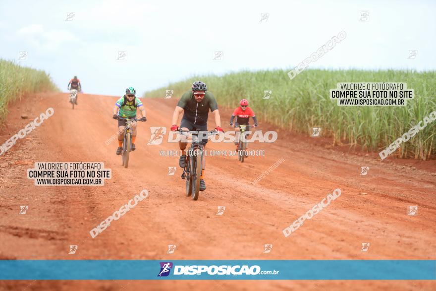 1ª EDIÇÃO DESAFIO ABELHA GRANDE - XCM