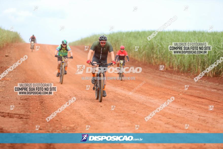 1ª EDIÇÃO DESAFIO ABELHA GRANDE - XCM