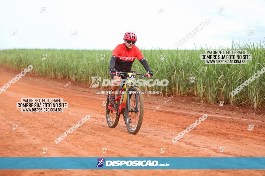 1ª EDIÇÃO DESAFIO ABELHA GRANDE - XCM