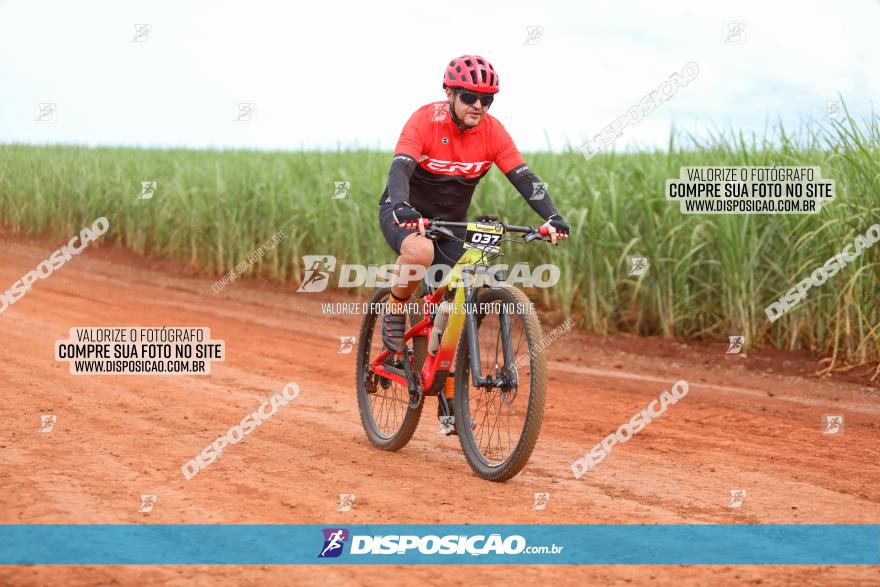 1ª EDIÇÃO DESAFIO ABELHA GRANDE - XCM