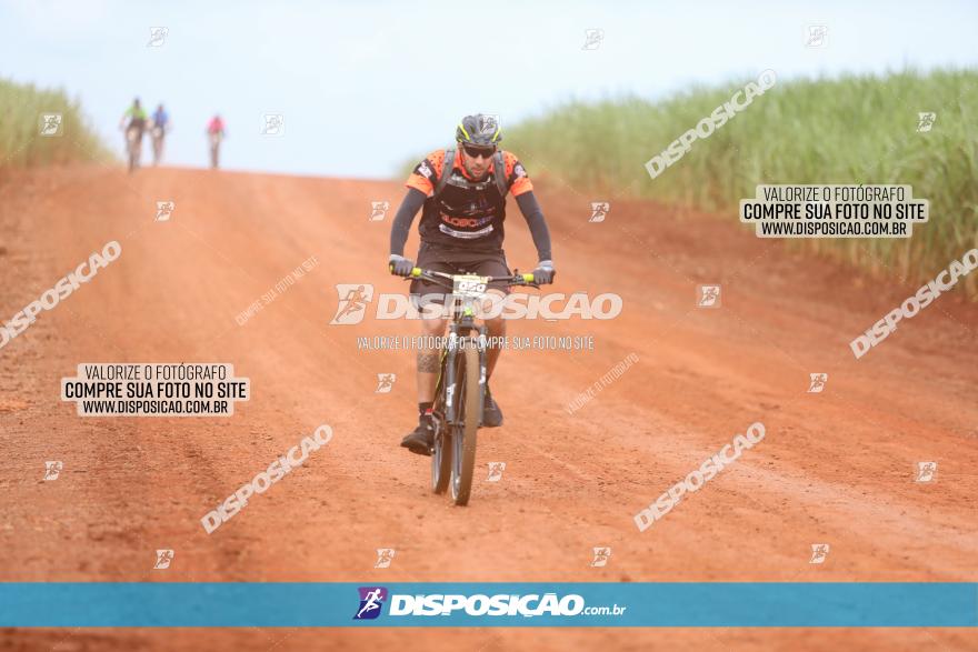 1ª EDIÇÃO DESAFIO ABELHA GRANDE - XCM