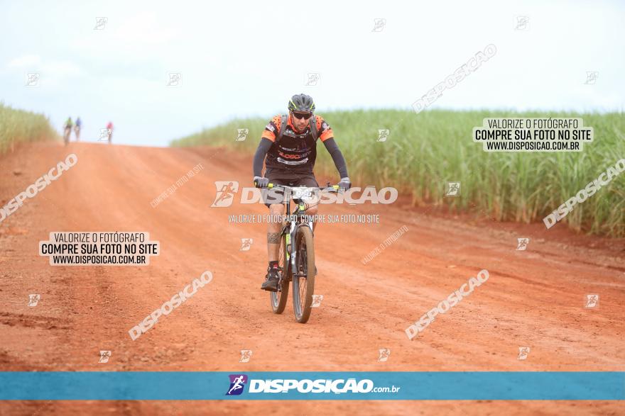 1ª EDIÇÃO DESAFIO ABELHA GRANDE - XCM