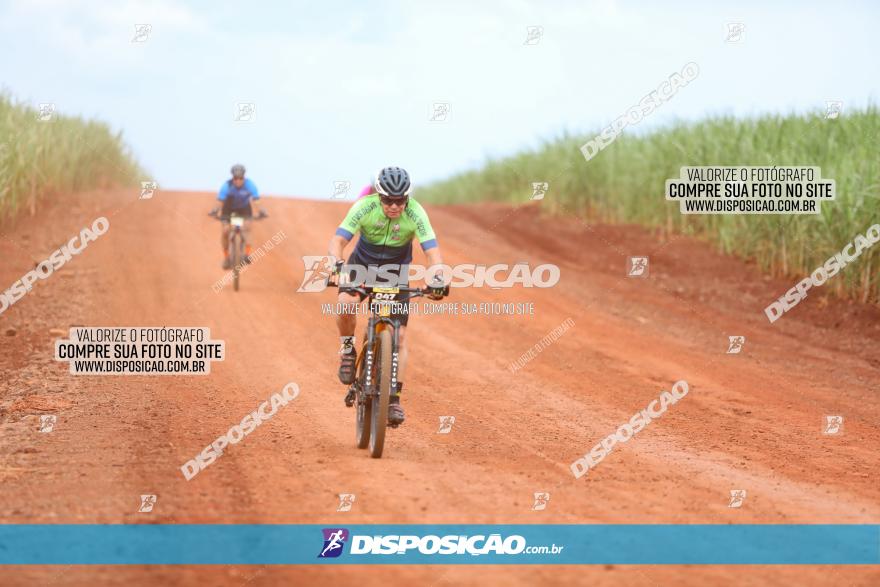 1ª EDIÇÃO DESAFIO ABELHA GRANDE - XCM