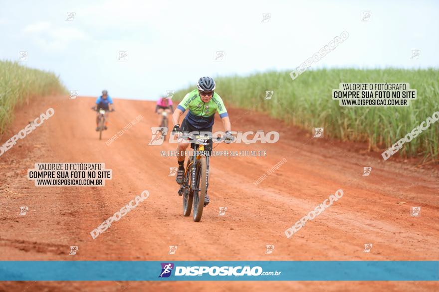 1ª EDIÇÃO DESAFIO ABELHA GRANDE - XCM