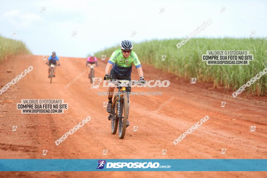 1ª EDIÇÃO DESAFIO ABELHA GRANDE - XCM