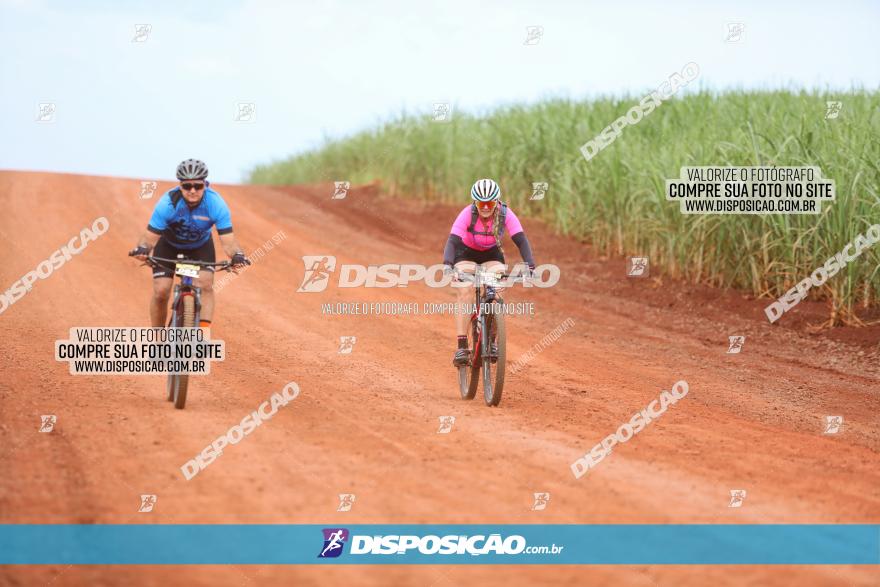 1ª EDIÇÃO DESAFIO ABELHA GRANDE - XCM