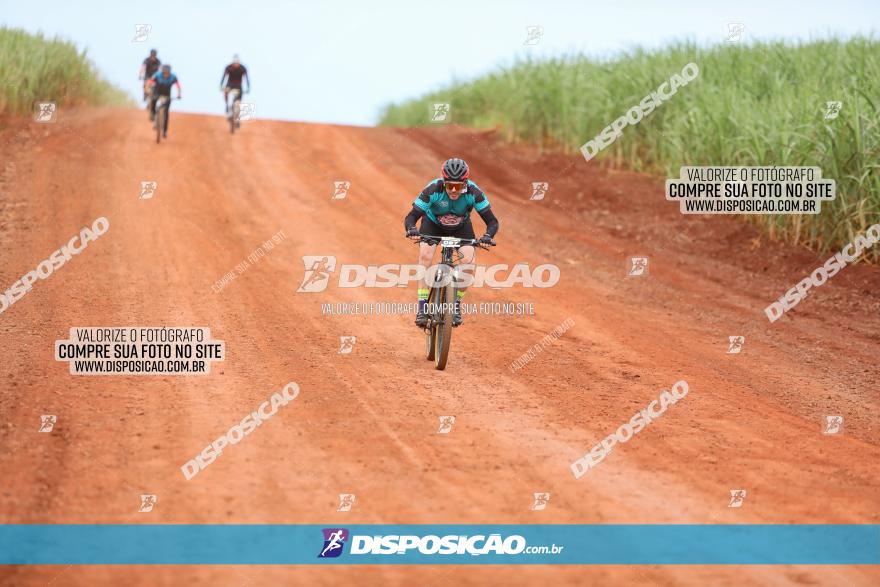 1ª EDIÇÃO DESAFIO ABELHA GRANDE - XCM