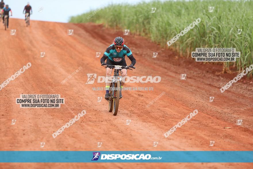 1ª EDIÇÃO DESAFIO ABELHA GRANDE - XCM