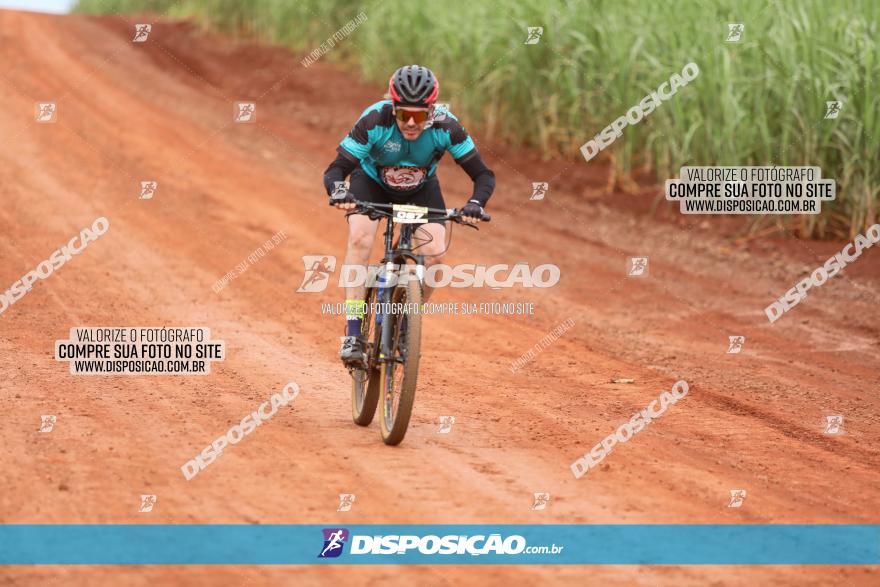 1ª EDIÇÃO DESAFIO ABELHA GRANDE - XCM