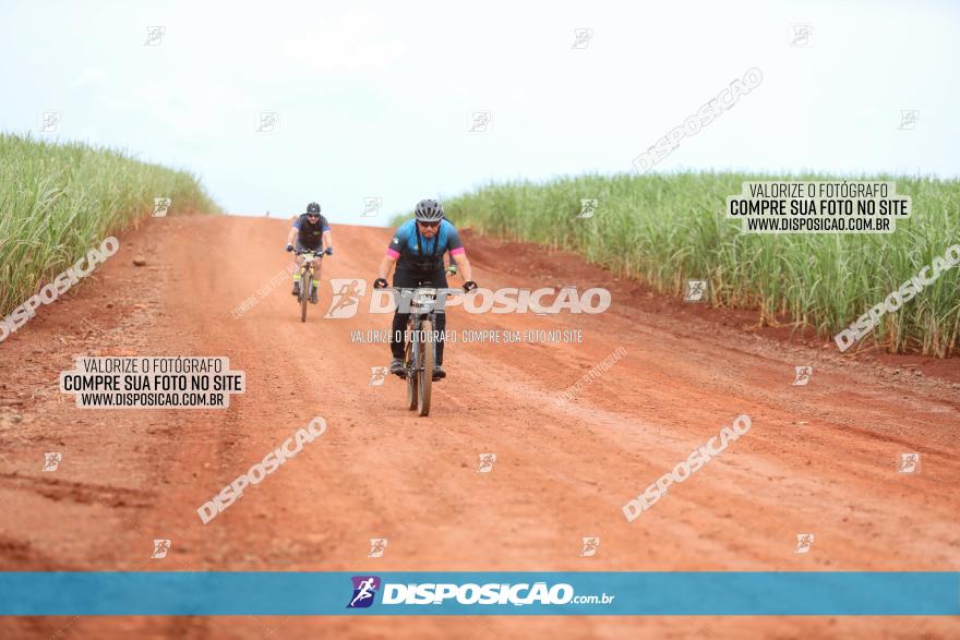 1ª EDIÇÃO DESAFIO ABELHA GRANDE - XCM