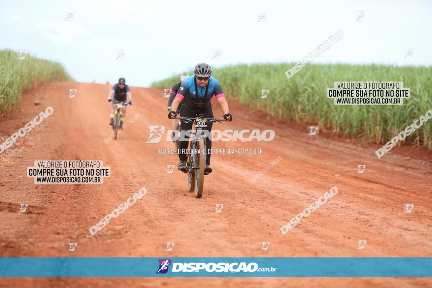 1ª EDIÇÃO DESAFIO ABELHA GRANDE - XCM