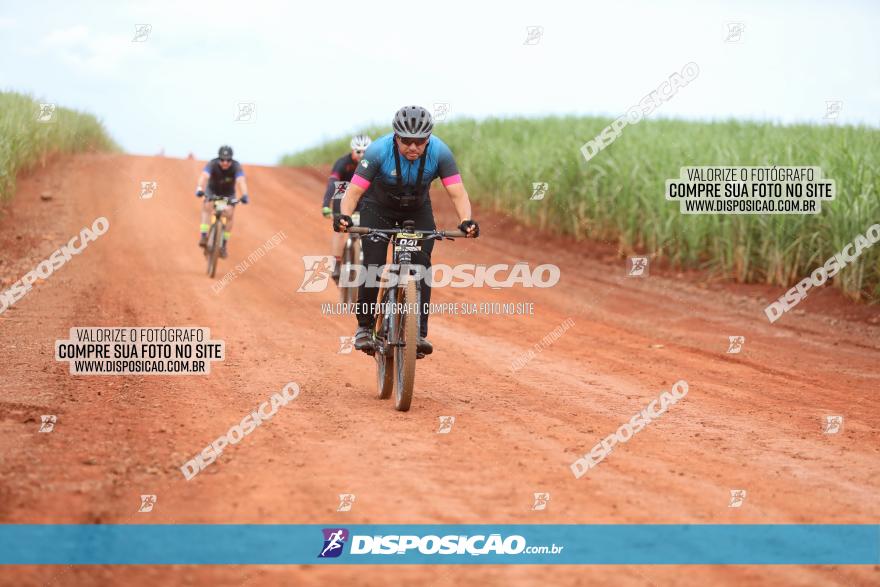 1ª EDIÇÃO DESAFIO ABELHA GRANDE - XCM