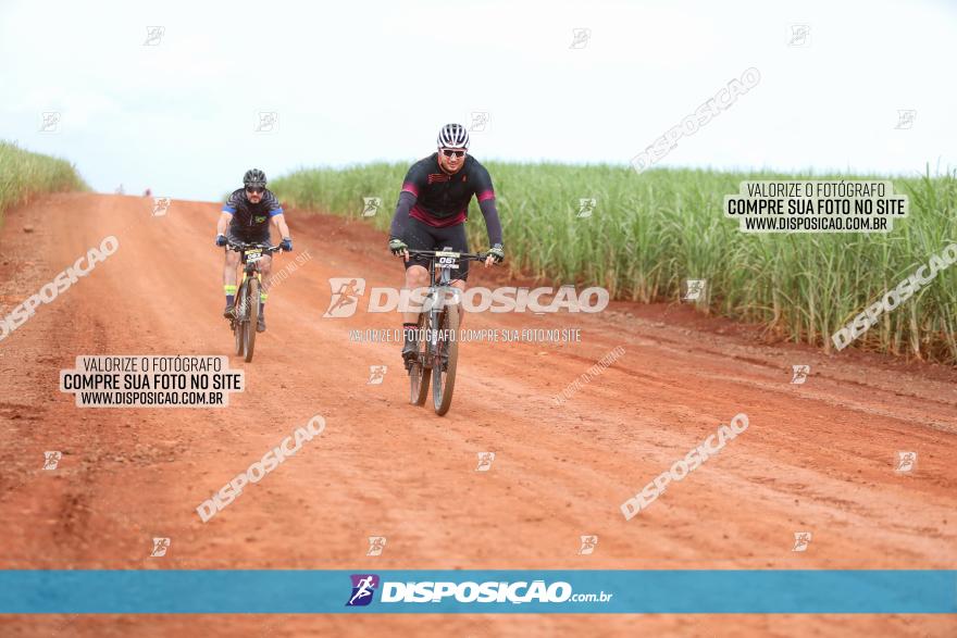 1ª EDIÇÃO DESAFIO ABELHA GRANDE - XCM