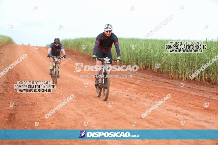 1ª EDIÇÃO DESAFIO ABELHA GRANDE - XCM