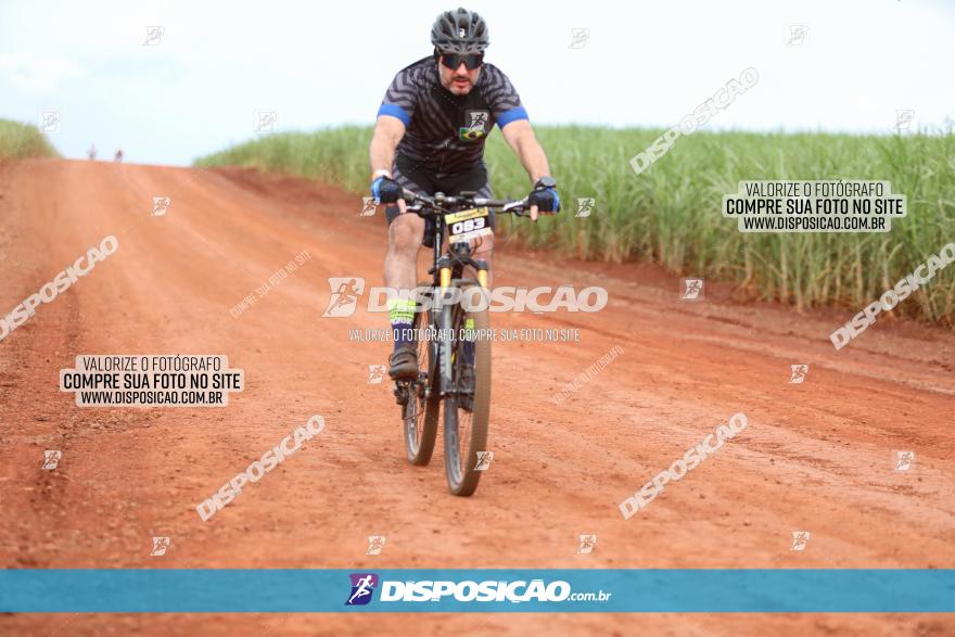 1ª EDIÇÃO DESAFIO ABELHA GRANDE - XCM