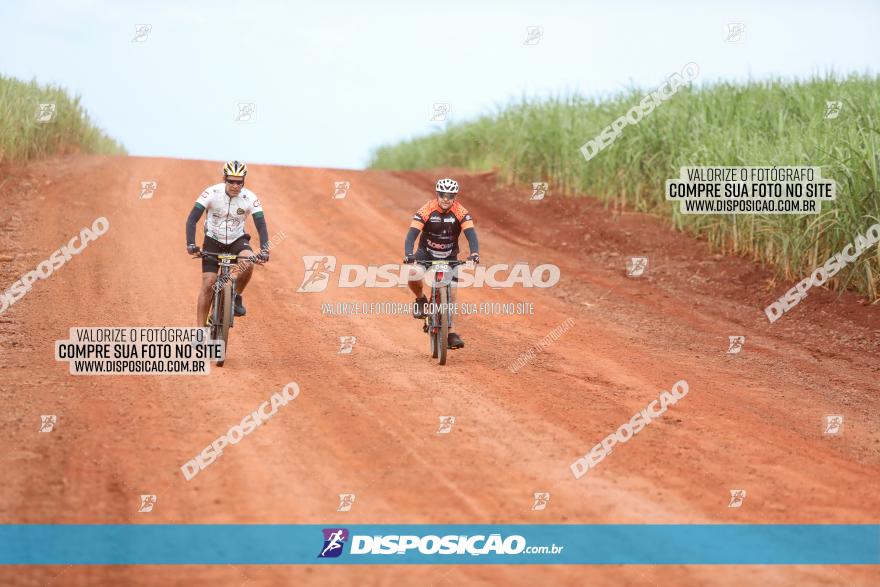 1ª EDIÇÃO DESAFIO ABELHA GRANDE - XCM