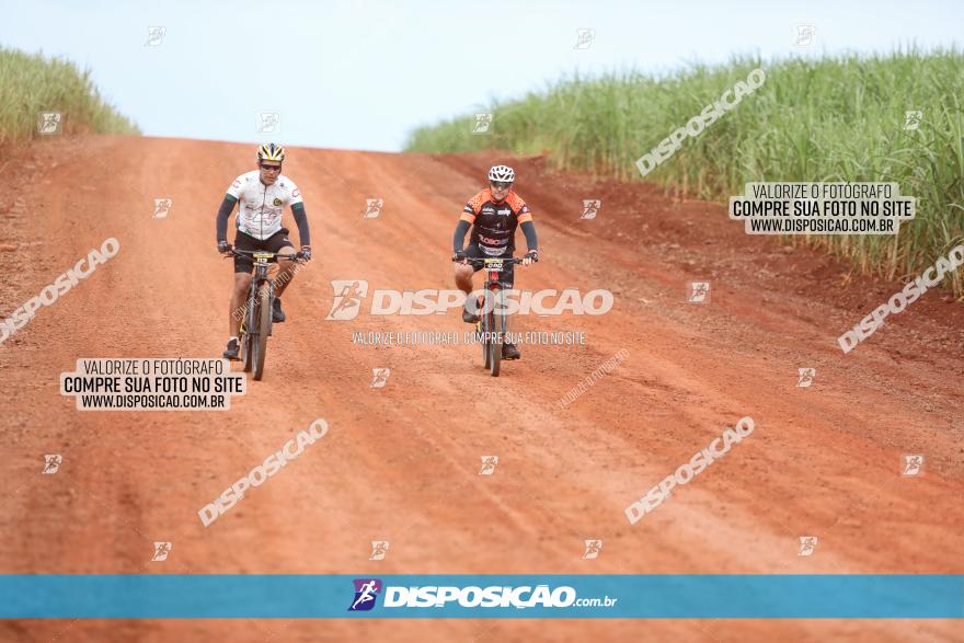 1ª EDIÇÃO DESAFIO ABELHA GRANDE - XCM