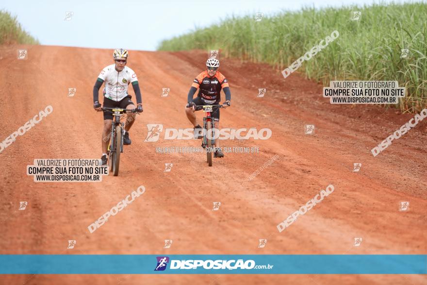 1ª EDIÇÃO DESAFIO ABELHA GRANDE - XCM