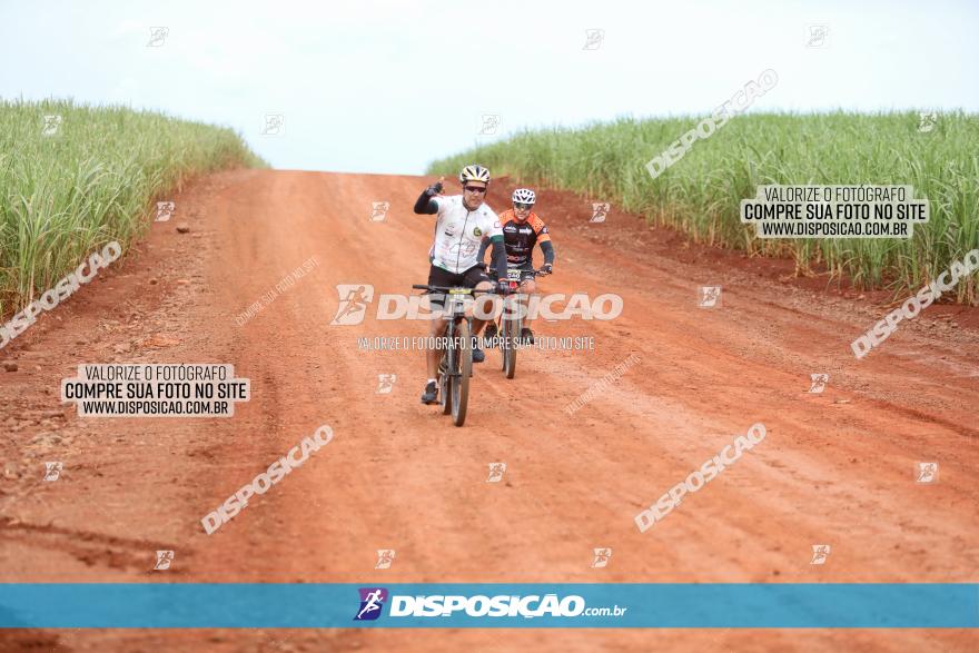 1ª EDIÇÃO DESAFIO ABELHA GRANDE - XCM