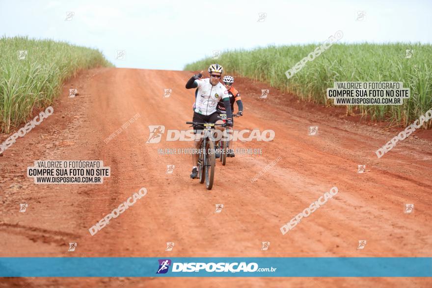 1ª EDIÇÃO DESAFIO ABELHA GRANDE - XCM