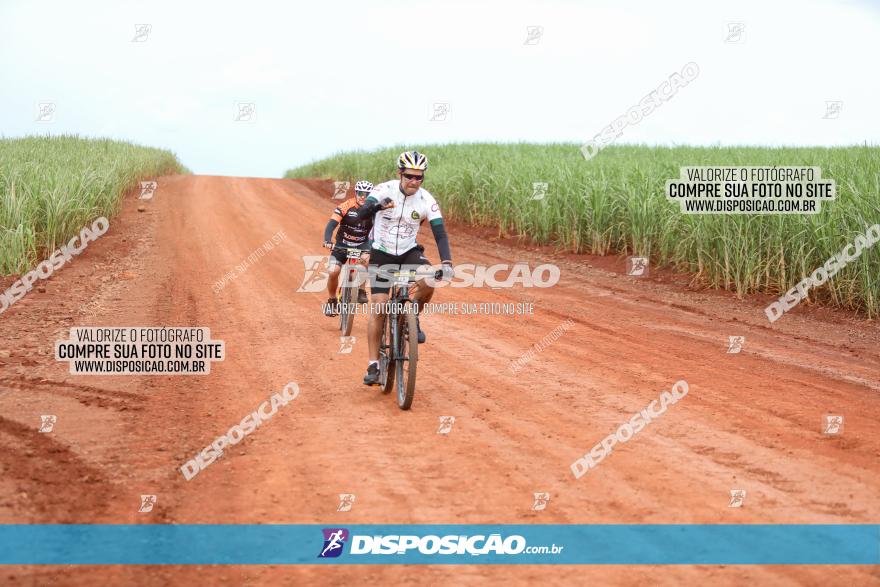 1ª EDIÇÃO DESAFIO ABELHA GRANDE - XCM