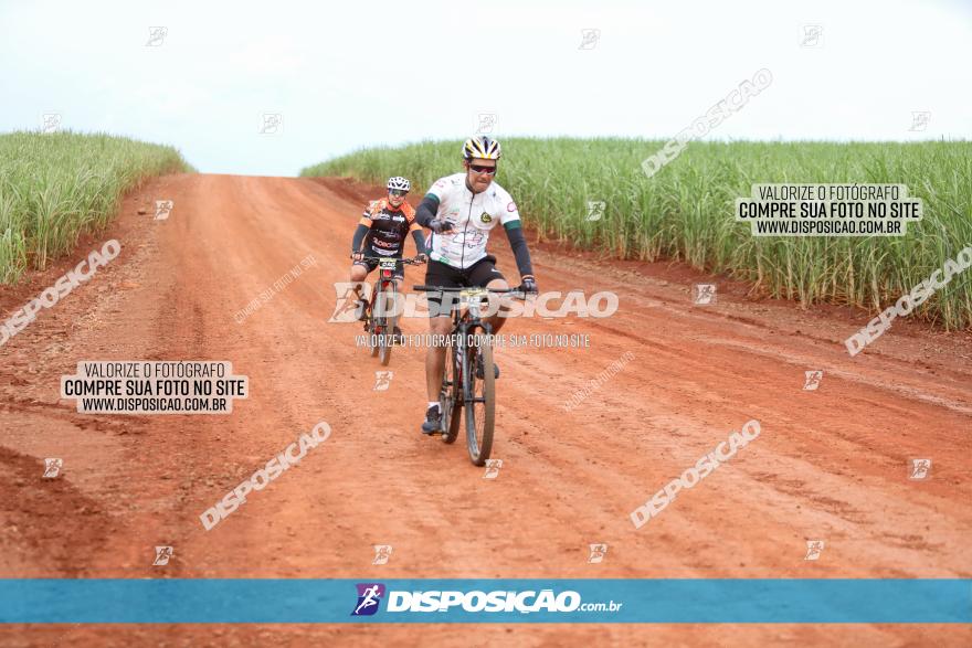 1ª EDIÇÃO DESAFIO ABELHA GRANDE - XCM