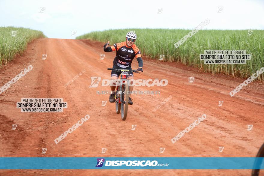 1ª EDIÇÃO DESAFIO ABELHA GRANDE - XCM