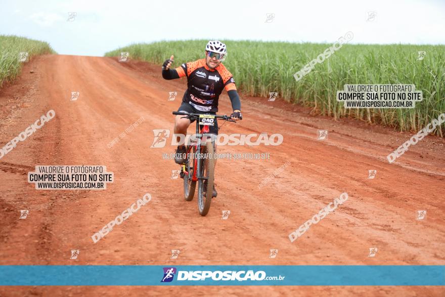 1ª EDIÇÃO DESAFIO ABELHA GRANDE - XCM