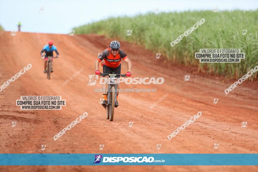 1ª EDIÇÃO DESAFIO ABELHA GRANDE - XCM