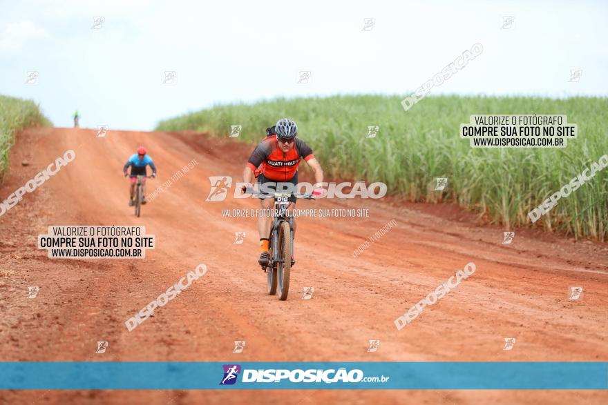 1ª EDIÇÃO DESAFIO ABELHA GRANDE - XCM