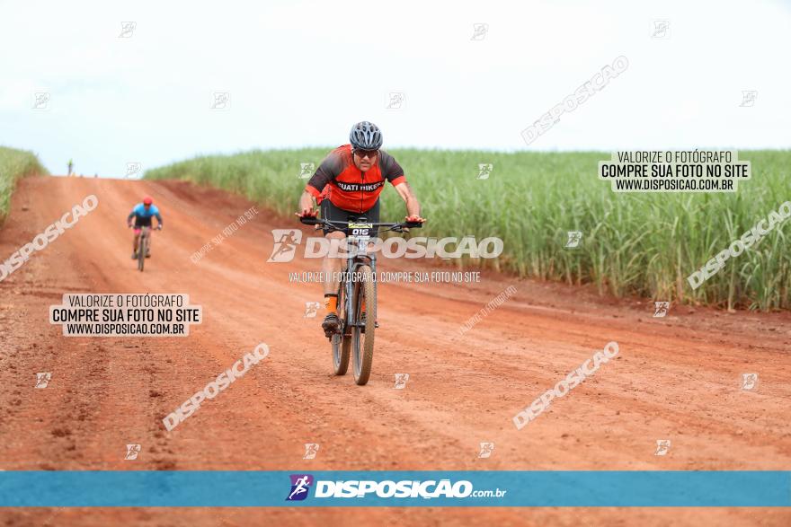 1ª EDIÇÃO DESAFIO ABELHA GRANDE - XCM